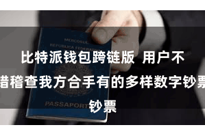 比特派钱包跨链版 用户不错稽查我方合手有的多样数字钞票