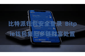 比特派钱包安全登录 Bitpie钱包复旧多链财富处置