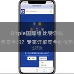 Bitpie国际版 比特派钱包安全吗？专家详解其全面优势