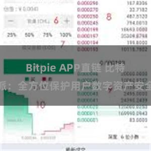 Bitpie APP直链 比特派：全方位保护用户数字资产安全