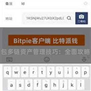 Bitpie客户端 比特派钱包多链资产管理技巧：全面攻略