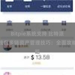 Bitpie系统支持 比特派钱包多链资产管理技巧：全面攻略