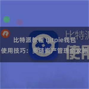 比特派教程 Bitpie钱包使用技巧：多链资产管理全攻略