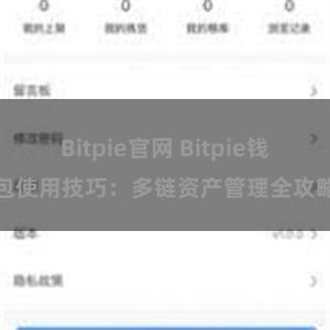 Bitpie官网 Bitpie钱包使用技巧：多链资产管理全攻略