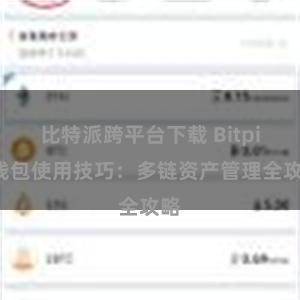 比特派跨平台下载 Bitpie钱包使用技巧：多链资产管理全攻略