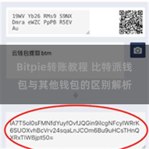 Bitpie转账教程 比特派钱包与其他钱包的区别解析