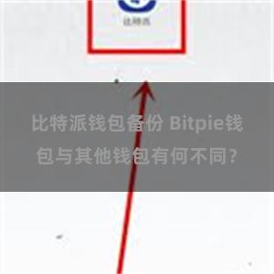 比特派钱包备份 Bitpie钱包与其他钱包有何不同？