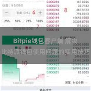 Bitpie钱包客户端 解决比特派钱包使用问题的实用技巧