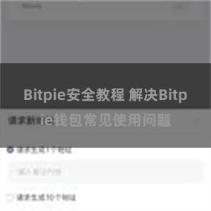 Bitpie安全教程 解决Bitpie钱包常见使用问题