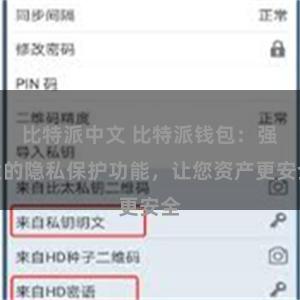 比特派中文 比特派钱包：强大的隐私保护功能，让您资产更安全