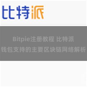 Bitpie注册教程 比特派钱包支持的主要区块链网络解析