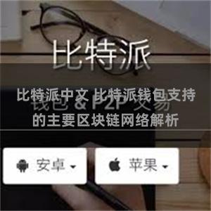 比特派中文 比特派钱包支持的主要区块链网络解析