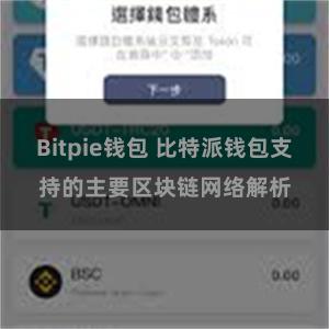 Bitpie钱包 比特派钱包支持的主要区块链网络解析