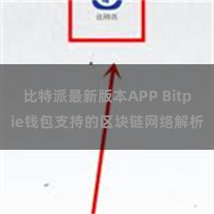 比特派最新版本APP Bitpie钱包支持的区块链网络解析