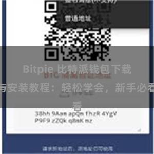 Bitpie 比特派钱包下载与安装教程：轻松学会，新手必看