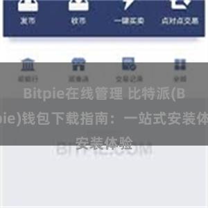 Bitpie在线管理 比特派(Bitpie)钱包下载指南：一站式安装体验