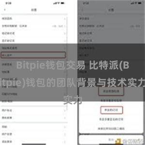 Bitpie钱包交易 比特派(Bitpie)钱包的团队背景与技术实力