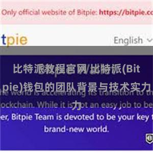 比特派教程官网 比特派(Bitpie)钱包的团队背景与技术实力