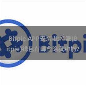 Bitpie APP安装 比特派(Bitpie)钱包有哪些隐藏功能？