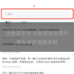 比特派支付 比特派钱包用户隐私保护措施详解