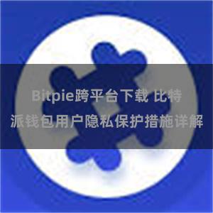 Bitpie跨平台下载 比特派钱包用户隐私保护措施详解