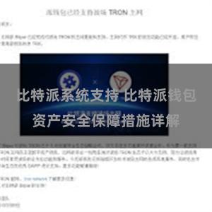 比特派系统支持 比特派钱包资产安全保障措施详解