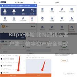 Bitpie体验 比特派钱包客户端：数字资产安全管理