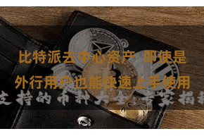 比特派去中心资产  即使是外行用户也能快速上手使用