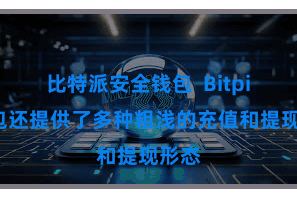 比特派安全钱包  Bitpie钱包还提供了多种粗浅的充值和提现形态
