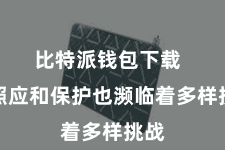 比特派钱包下载  其照应和保护也濒临着多样挑战