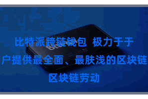 比特派跨链钱包  极力于于为用户提供最全面、最肤浅的区块链劳动