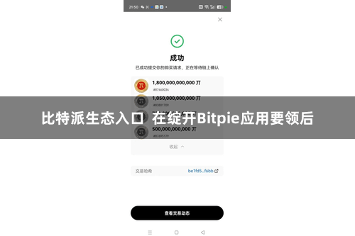 比特派生态入口  在绽开Bitpie应用要领后