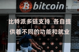 比特派多链支持  各自提供着不同的功能和就业