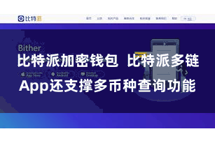 比特派加密钱包  比特派多链App还支撑多币种查询功能