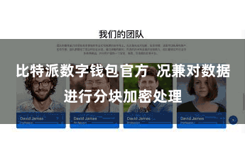 比特派数字钱包官方  况兼对数据进行分块加密处理