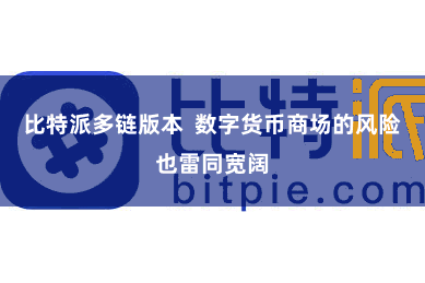 比特派多链版本  数字货币商场的风险也雷同宽阔
