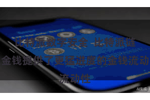 比特派数字安全  比特派链上金钱提供了更猛进度的金钱流动性